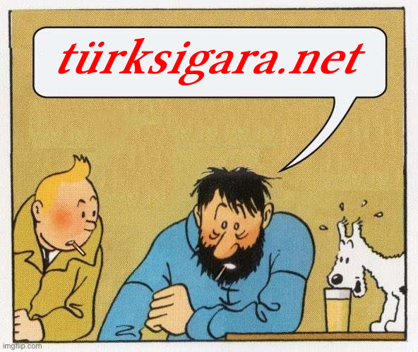 #113